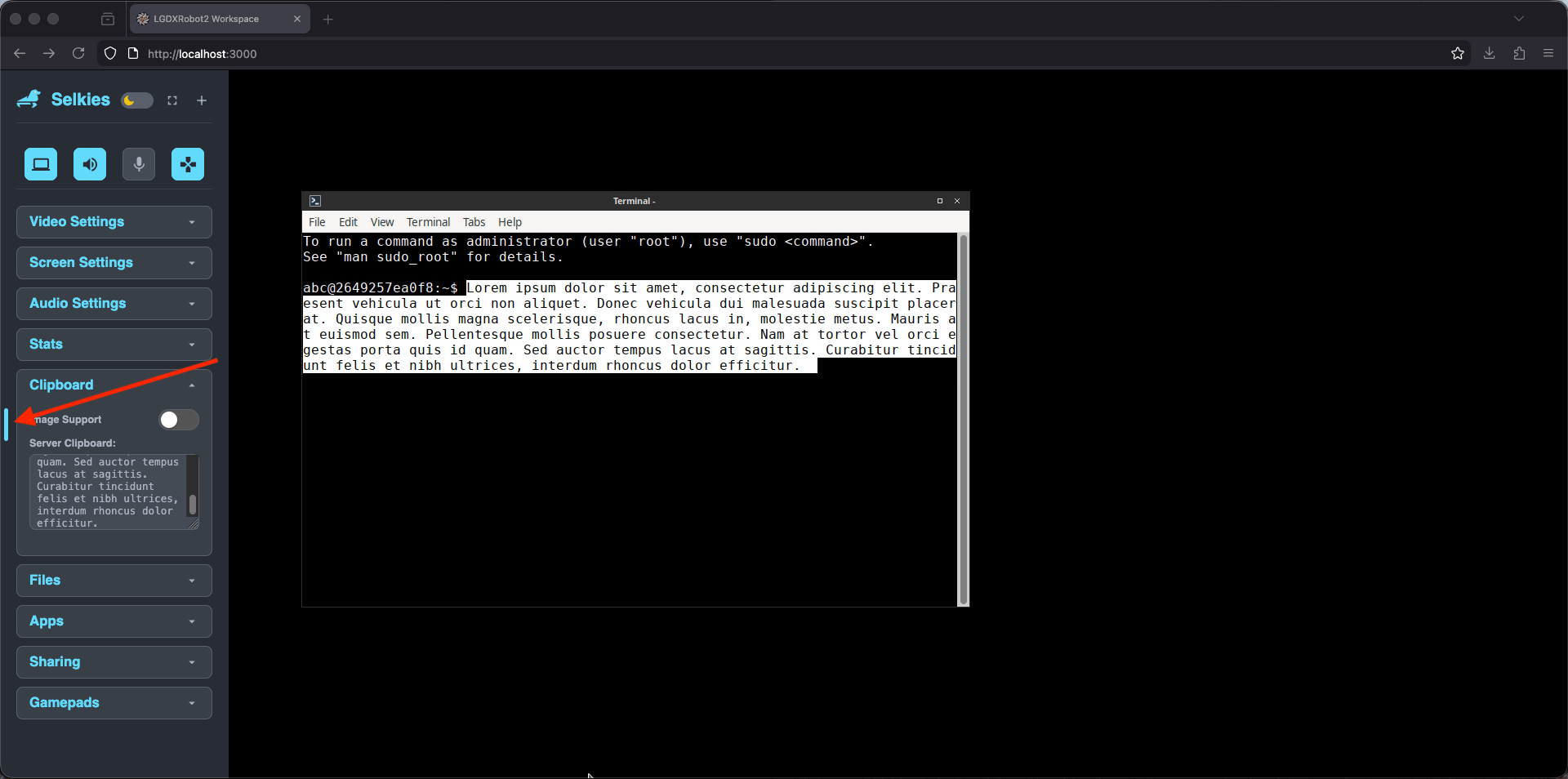 Screenshot of the clipboard